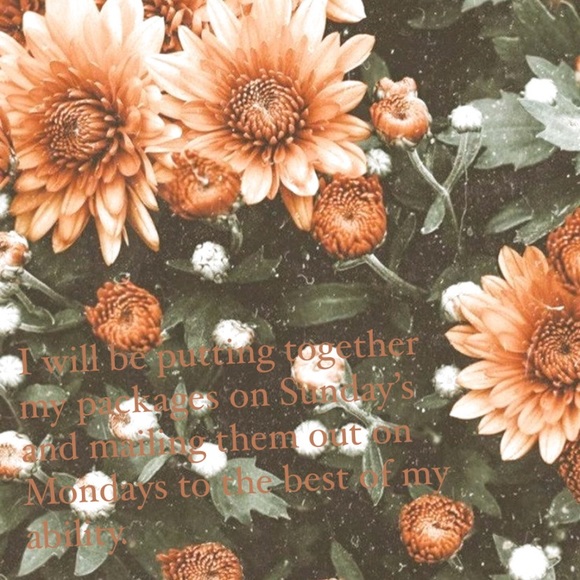 Meet your Posher, Juliah - Picture 2 of 2